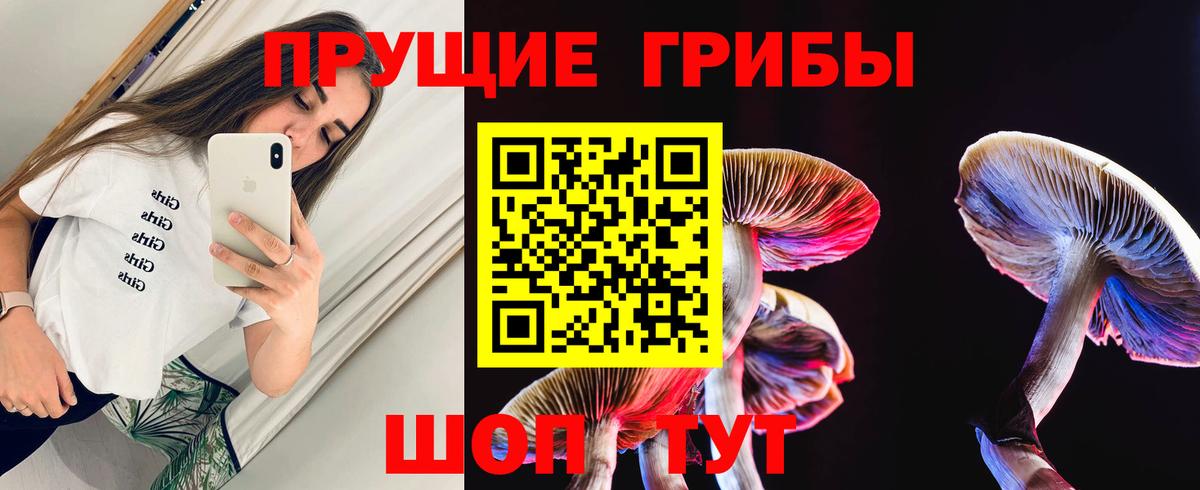 Мирный  Галлюциногенные грибы прущие грибы  наркотики  Вход с VPN 